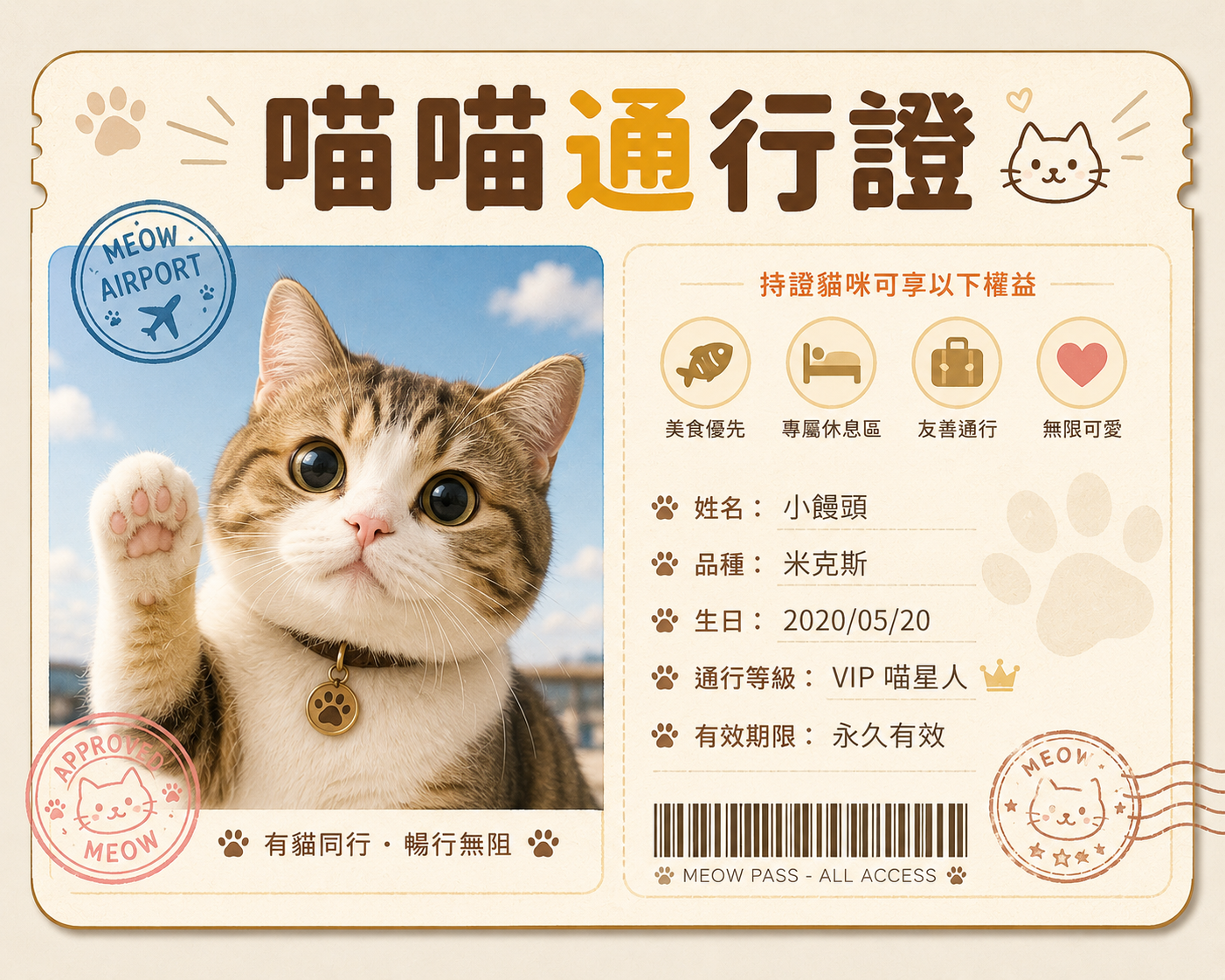 新手教學-喵喵通行證